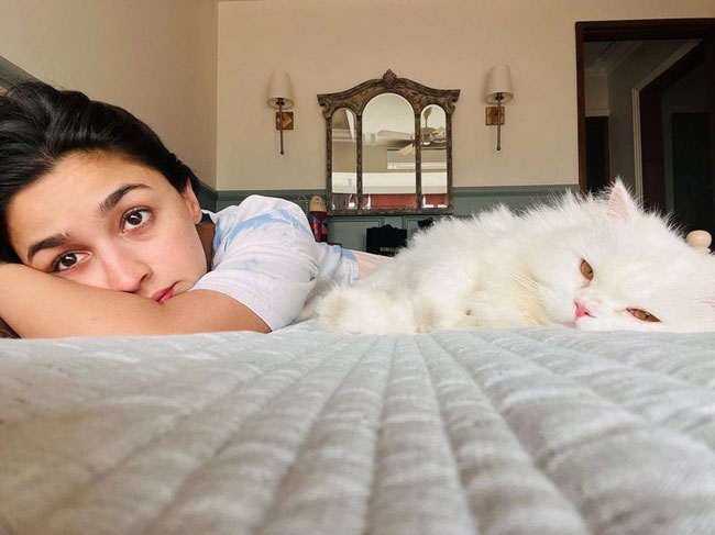 Alia Bhatt Latest Instagram Pics
